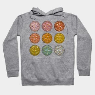 Rainbow Disco Balls Hoodie